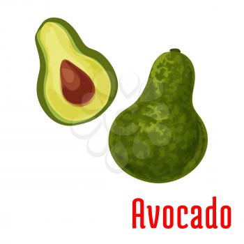 Avocado fruit vector color sketch icon. Isolated whole and half cut avocado. Diet green fruit emblem for product sticker, farm store design element