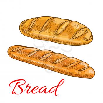 Bread sorts and bakery products icons. Vector pencil sketch of wheat loaf and baguette
