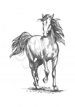 White horse running free gait. Wild mustang stallion walks against wind with waving mane and tail. Vector sketch portrait