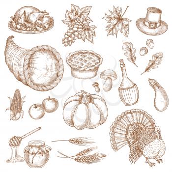 Thanksgiving day sketched symbols for greeting. Vector isolated traditional thanksgiving dinner turkey, cornucopia, pumpkin, vegetables harvest, grape bunch, corn, pilgrim hat. Decoration elements for