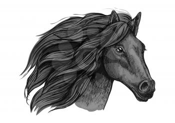 Black raven stallion running against wind. Sketched vector portrait of horse head with proud look and waving mane hairs