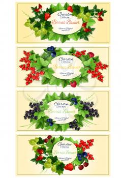 Garden berries fruits banners. Vector design of garden berry with leaves strawberry, dog-rose fruits, red currant, blackcurrant, strawberry, gooseberry