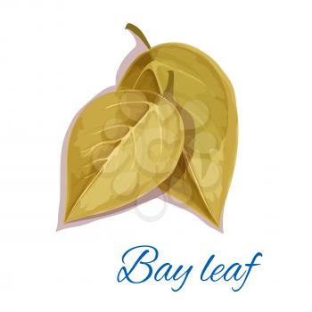 Bay leaf icon with text. Vector isolated emblem of bay leaves herb cooking ingredient for decoration, package design element, sticker, label