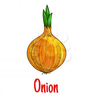 Onion vegetable isolated icon. Vector sketch emblem of fresh garden bulb onion with green growing sprouts. Isolated whole onion element with text for grocery shop emblem, farm store design