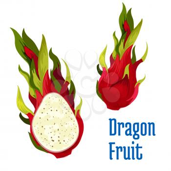 Exotic tropical dragon fruit icon. Vector element of red dragon fruit pitaya element whole and half cut. Design emblem for juice, product sticker label, snack package design, tag