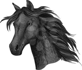 Black raven horse head portrait. Ink dark mustang with beautiful black mane waving in wind. Vector label for sport team badge, mascot, horse race emblem