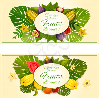Tropical garden fruits banners with vector carambola, mangosteen, durian, figs, guava, rambutan and tropical plant palm leaves elements. Fruit decoration placards