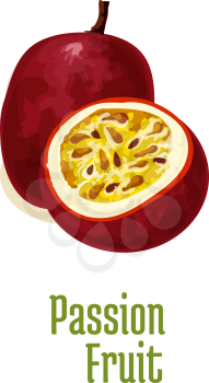 Passion fruit maracuya. Vector isolated icon of exotic tropical isolated fruit. Whole and slice half cut fresh passion fruit with juicy pulp. Design element for juice drink