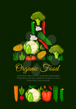 Organic vegetables food emblem of vegetable pattern of fresh vegan of cabbage, onion, kohlrabi, pepper, zucchini, leek, celery, daikon radish, carrot, beet, potato, broccoli, pumpkin. Vector vegetaria