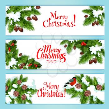 Merry Christmas banner set. Holly berry and xmas tree green branches with red ilex fruit, cone and bullfinch. Snowy Christmas tree label set for winter holiday design