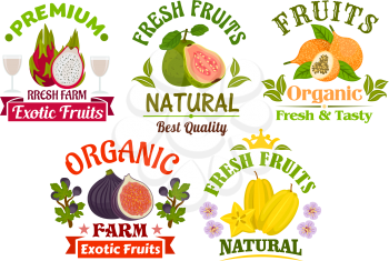 Fruits icons and signs set. Fresh juicy natural organic fruits guava, dragon fruit, lychee, figs, carambola
