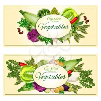 Vegetables posters. Vegetarian healthy garden vegetables harvest. Vector ruccola, cabbage, onion and kohlrabi, pepper and zucchini, leek and celery, daikon radish and carrot, beet and potato, broccoli