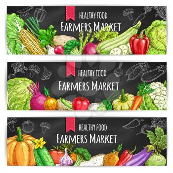 Veggies of farmer market. Vegetarian healthy food banners set. Chalk sketch vegetable pumpkin and cabbage, onion and broccoli, pepper and cucumber, tomato and celery, radish, carrot and beet, potato o