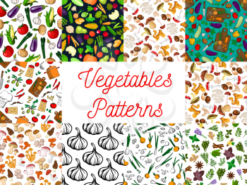 Vegetables patterns set. Vector seamless pattern of vegetable, mushroom, herb and spices icons. Background with vegetarian healthy organic fresh food