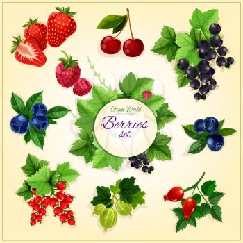 Berry and fruit cartoon poster with sweet strawberry, cherry, blueberry, raspberry, black and red currant, bilberry, gooseberry and briar berries. Food, juice, fruit dessert design