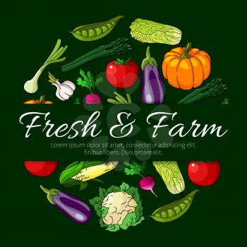 Vegetable round symbol, composed of fresh farm tomato, green onion, eggplant, corn and radish, pea, chinese cabbage and garlic, pumpkin, cauliflower and asparagus. Vegetarian food and organic farming 