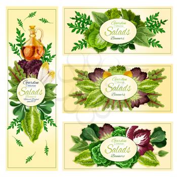 Salad leaf and vegetable greens banner of leafy frames with lettuce, spinach and chinese cabbage, arugula and iceberg lettuce, cress salad and bok choy, sorrel and chard, chicory, radicchio, batavia, 