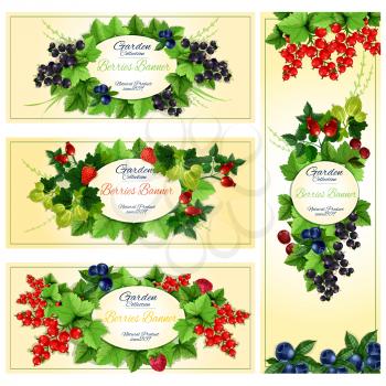 Summer berry banner with fruit frames, surrounded by strawberry, cherry, blueberry, raspberry, red and black currant, gooseberry and briar with leaves on stems. Food label, badge, emblem design