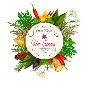 Hot spice poster with chilli pepper, basil, mint, dill, anise, ginger, rosemary, thyme, cinnamon, bay leaf, arugula, fennel, tarragon. Organic farm symbol, food packaging design