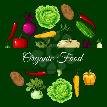 Vegan organic vegetables food. Vector vegetarian healthy diet eating poster of bio fresh cabbage, cucumber, kohlrabi, carrot, potato, squash, daikon, radish, beet, chili pepper