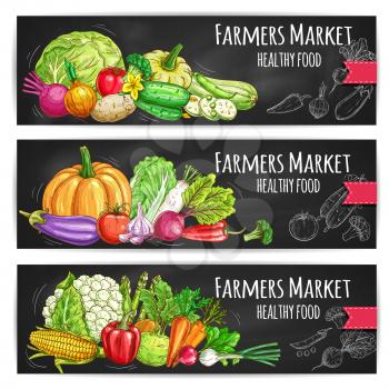 Vegetables healthy food. Vector sketched farmers market banners set with vegetables harvest. Veggies cabbage, cauliflower, pumpkin, pepper, cucumber, garlic, eggplant, beet, corn, asparagus, onion, ra