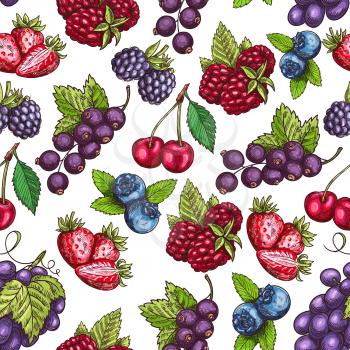 Berries pattern. Vector seamless background of sketch berry grape bunch, strawberry and raspberry, blueberry, blackberry, cherry and blackcurrant