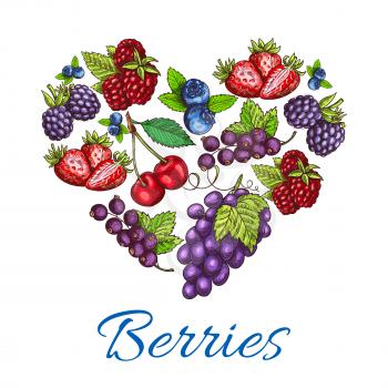 Berries heart shape. Vector poster of sketch berries and fruits with grape bunch, strawberry and raspberry, blueberry, blackberry, cherry and blackcurrant. Organic food of forest and farm berries for 