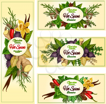 Spice herb and condiment banner set of hot chilli pepper, mint, dill, rosemary, basil, anise, thyme, ginger, vanilla, cinnamon, bay, arugula, tarragon, fennel. Label, sticker, food design