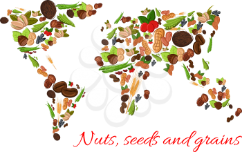 World map poster of vector nuts, grains, seeds. Vector nut, grain, kernels, natural nutritious coconut, almond, pistachio, cashew, hazelnut, walnut, bean pod, peanut, sunflower, wheat ears, pumpkin se