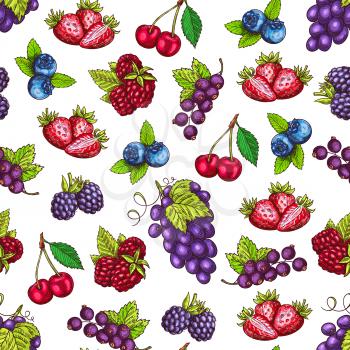 Berries pattern. Fruits sketch of fresh strawberry and raspberry, blueberry, blackberry, cherry and blackcurrant and grape bunch. Vector seamless background. Farm and forest berries harvesting