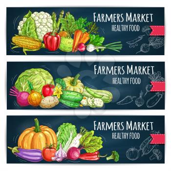 Vegetables sketch on banners with Farmers Market harvest ripe. Vector cabbage, cucumber, tomato and eggplant, kohlrabi, onion and corn, pumpkin and zucchini, radish and leek. Chalk sketched healthy fo