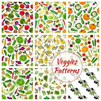 Pattern of vegetables, spicy herbs and herbal spices. Vector veggies cauliflower, garlic and potato, corn and olive oil cabbage, pumpkin, tomato, pepper, broccoli and eggplant, carrot. Aroma rosemary,