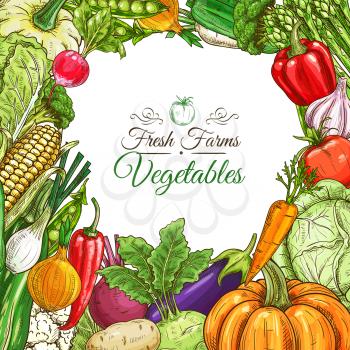 Vegetables poster or vegetarian menu design template. Fresh farm tomato, pepper, carrot, onion, garlic, pumpkin, potato, eggplant, corn, beet, zucchini, pea, cabbage, lettuce vegetable sketches