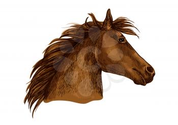 Horse portrait. Brown horse profile with wavy mane looking with beautiful eyes. Artistic vector sketch portrait