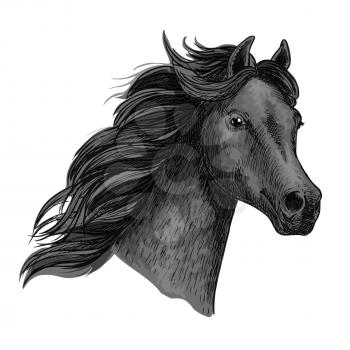 Black raven horse with proud look and holding head up high. Vector portrait of mustang equine head. Purebred powerful noble stallion with thick curly waving mane