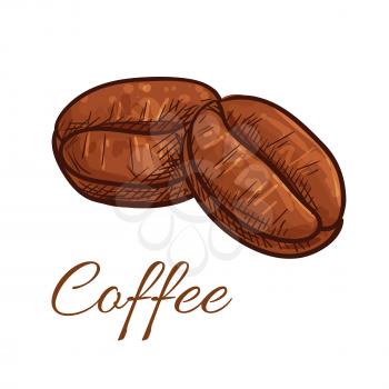 Coffee beans isolated sketch icon. Vector color elements of tasty roasted whole coffee bean for cafe, cafeteria, product emblem, decoration, package design, sticker, label