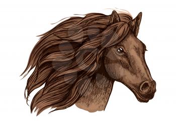 Horse head vector isolated icon. Symbol for equine horse racing sport. Brown mare or stallion with wavy mane. Wild horse run in wild freedom