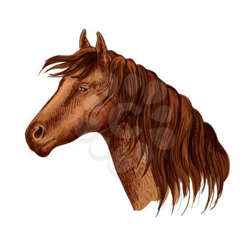 Vector portrait of brown purebred graceful hosrse mare. Beautiful bay mustang with wavy mane and calm kind looking eyes. Racehorse stallion resting in relax