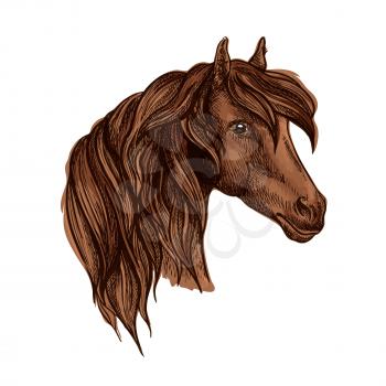 Vector portrait of noble brown horse mare with wavy mane and shiny kind eyes. Chestnut breed mustang stallion symbol for sport horse racing emblem