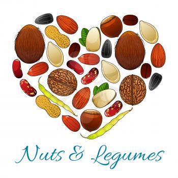 Heart with nuts, legume and seed. Peanut, coffee bean, pistachio, almond, walnut, hazelnut, bean pod, sunflower and pumpkin seed, coconut. Healthy snack food, vegetarian nutrition design
