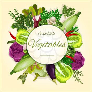 Vegetable, mushroom and salad leaf poster. Broccoli, cabbage, chilli pepper, eggplant, garlic, radish, beet, zucchini, green pea, champignon, kohlrabi, asparagus, patty pan squash, vegetable greens