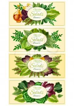 Green salad leaf banner set with fresh lettuce, spinach, chinese cabbage, iceberg lettuce, arugula, bok choy, chicory, radicchio, batavia, chard and sorrel. Vegetarian, healthy food poster design