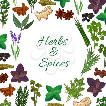 Seasonings spicy herbs or herbal spices condiments. Rosemary and thyme, sage bay leaf, anise and oregano, basil, dill and parsley, ginger, cumin and chili pepper, aromatic vanilla with mint, cinnamon 