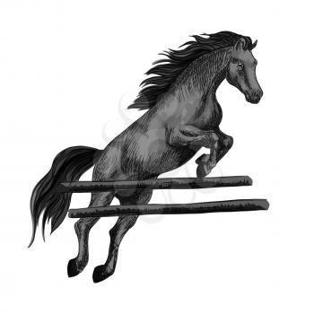 Black racing horse mustang jumping over barrier and running on horseraces. Vector sketch horse stallion for equestrian sport races and bets, horse riding, equine exhibition design