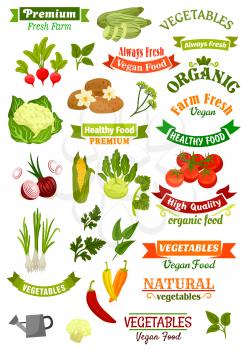 Vegan and vegetarian vegetable food shop vector isolated icons and ribbons set with potato, cauliflower and corn, chili pepper and zucchini squash, kohlrabi, tomato and onion leek. Organic fresh green