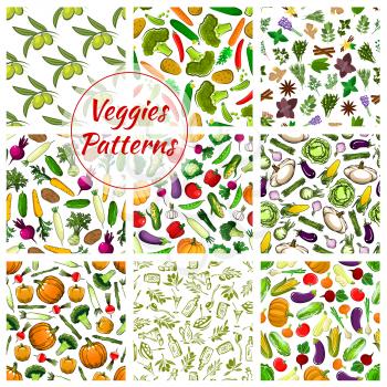 Vegetables pattern of fresh cauliflower, kohlrabi cabbage, pepper and asparagus, beet and carrot, tomato and potato, onion leek. Organic veggies pumpkin, zucchini squash and olive, herbs and spices or