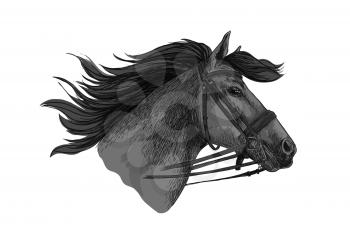 Horse in bridle running on races. Mustang trotter racing vector sketch. Stallion head symbol for sport horserace. equestrian races riding club, equine farm or ranch exhibition or contest