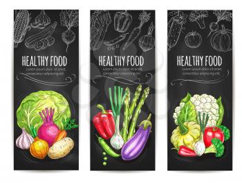 Vegetables sketch banners of vegetarian healthy veggies food cauliflower cabbage, garlic and potato, beet and onion leek, eggplant and asparagus, bell pepper, patisony squash, tomato and broccoli. Vec