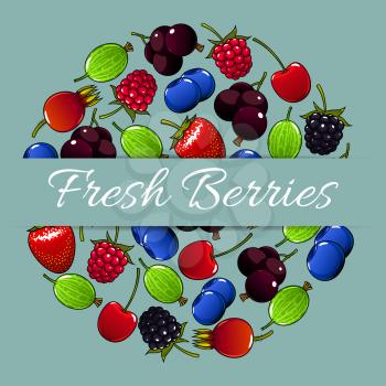 Berries and berry fruits round vector poster of fresh garden strawberry and cherry, forest raspberry and blueberry, black currant or redcurrant, juicy gooseberry and sweet blackberry. Ripe farm berry 