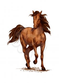 Racing or running horse. Arabian brown mustang galloping or trotting on sport races. Vector sketch farm or ranch stallion foal vector sketch. Symbol for equestrian horserace riding club, equine exhibi